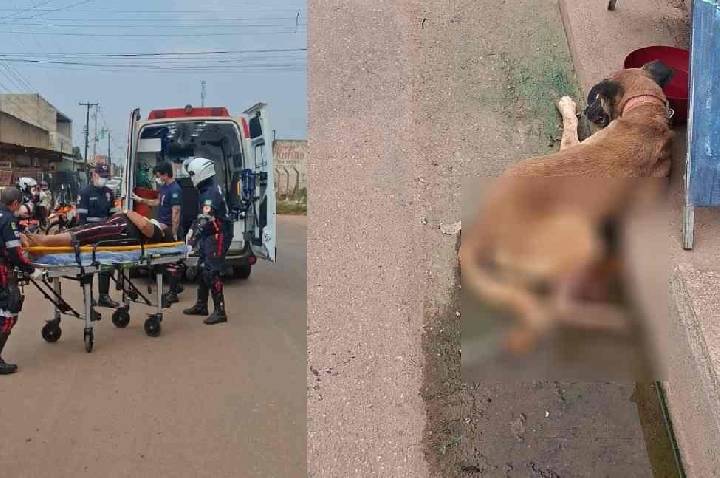 Acidente com cachorro deixa mulher gravemente ferida na zona Leste