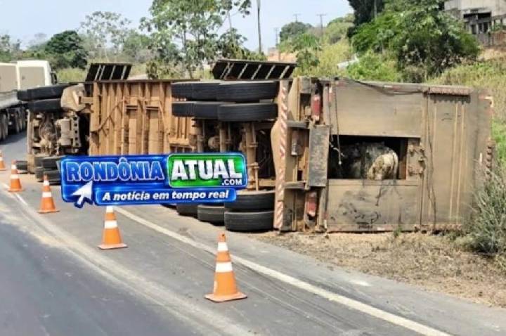 Caminhão carregado com bovinos tomba em rotatória do Anel Viário de RO