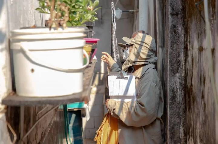 Casos de dengue caem em 2026, mas combate ao mosquito continua essencial