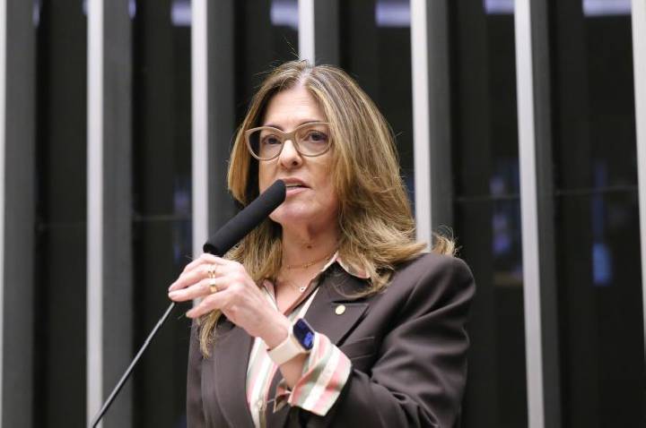 Comissão aprova projeto que permite programas de fidelidade com prazo maior para gestante