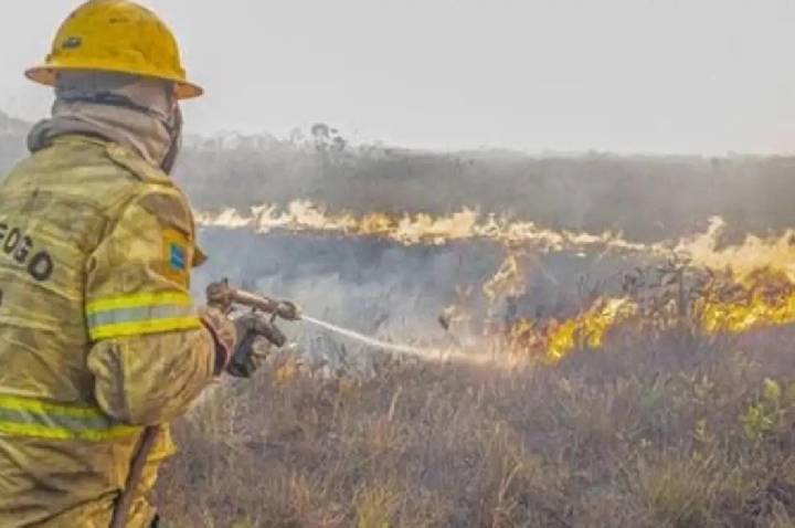 Governo investiga se há organização por trás dos incêndios no Amazonas