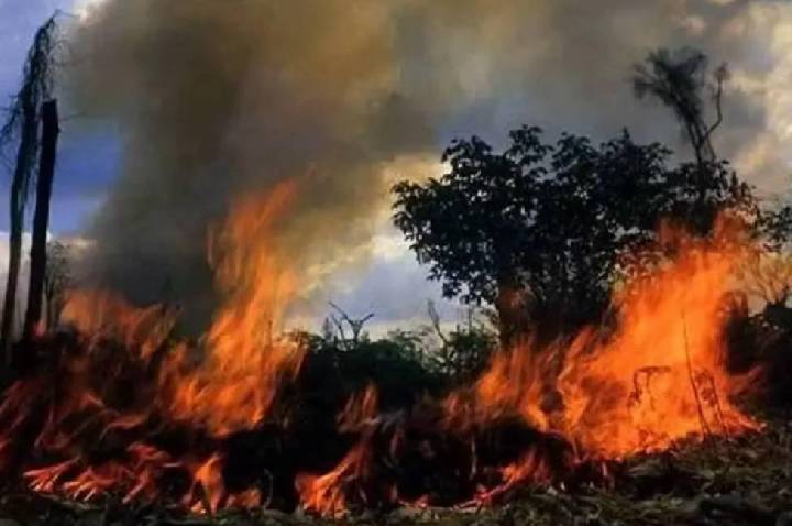 Homem morre ao tentar combater incêndio em pastagem na zona rural de Nova União