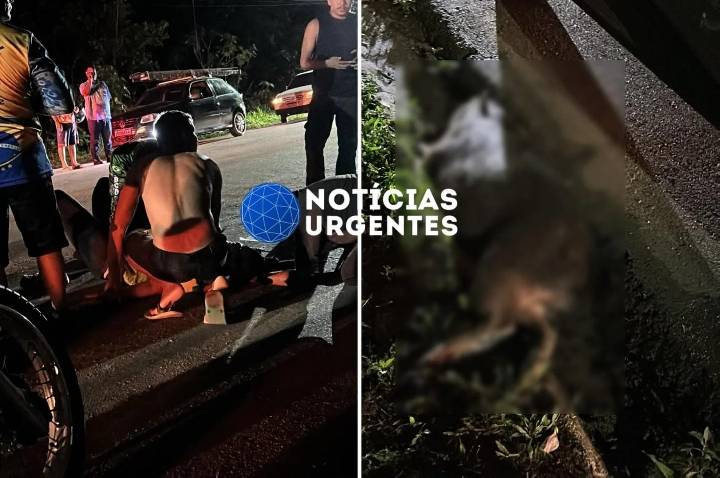 Mulher fica gravemente ferida após atropelar capivara