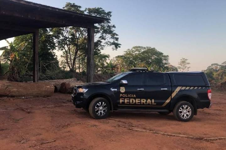 PF deflagra operação contra extração ilegal de madeira em terras indígenas de Rondônia