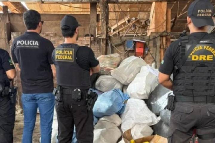 PF destrói mais de 1,3 tonelada de drogas em Rondônia