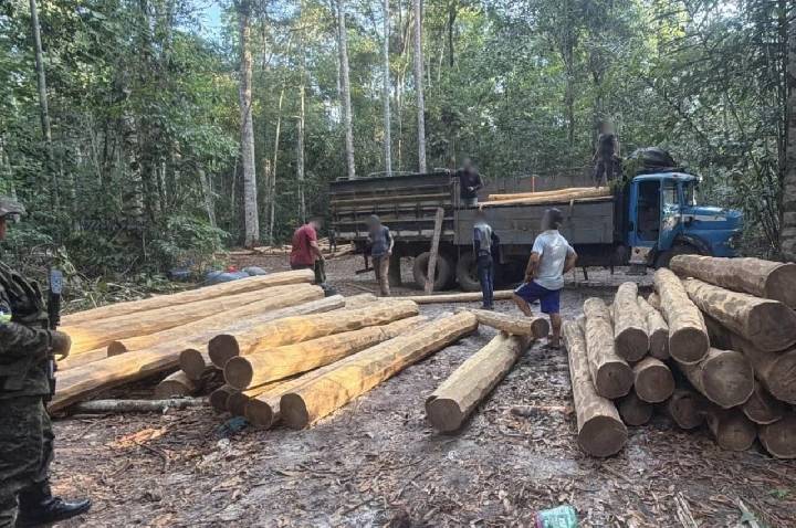 PM apreende dois caminhões com madeira ilegal em Rondônia