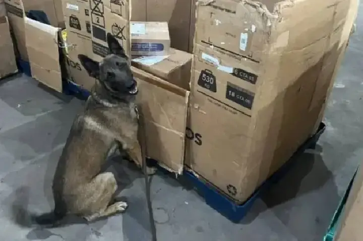 Polícia Federal apreende quase 2 quilos de skunk escondidos em encomenda de rapadura em agência dos Correios