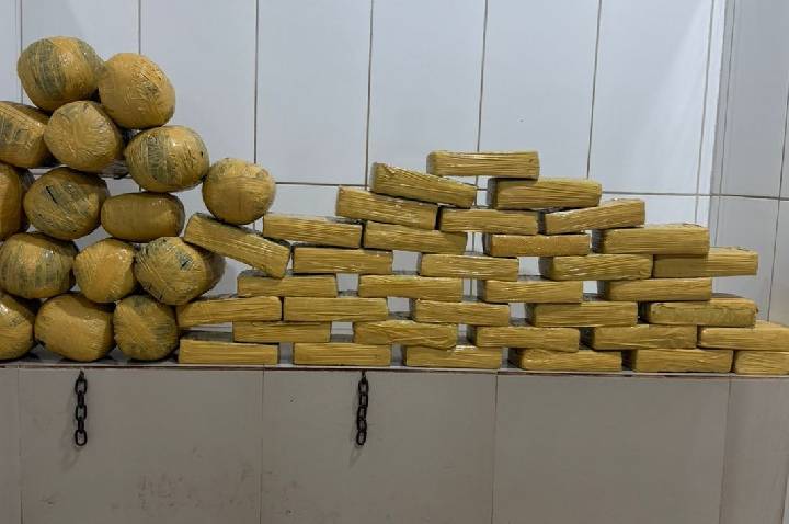 POLÍCIA MILITAR EM CACOAL APREENDE CERCA DE 50 KG DE MACONHA