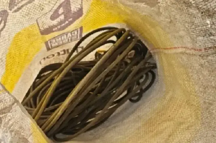 Polícia Militar recupera extensão elétrica suspeita de furto em obra durante patrulhamento em RO