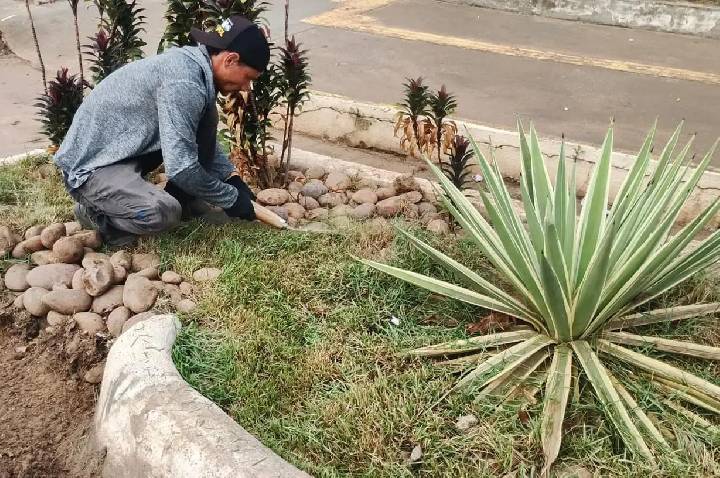 Prefeitura inicia manutenção periódica dos jardins de chuva de Porto Velho