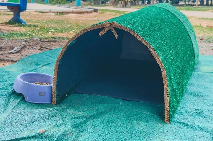 Prefeitura instala abrigos para gatos em espaços públicos