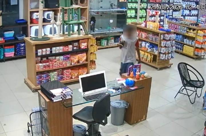 Suspeito arromba porta de vidro e furta cachorros da raça Spitz Alemão em pet shop na Avenida Calama