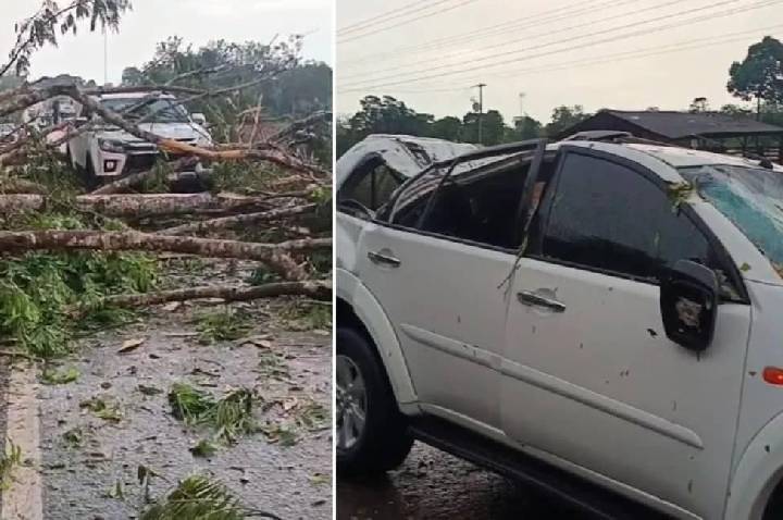 Temporal e rajadas de vento derrubam árvores e atingem veículos na BR-364