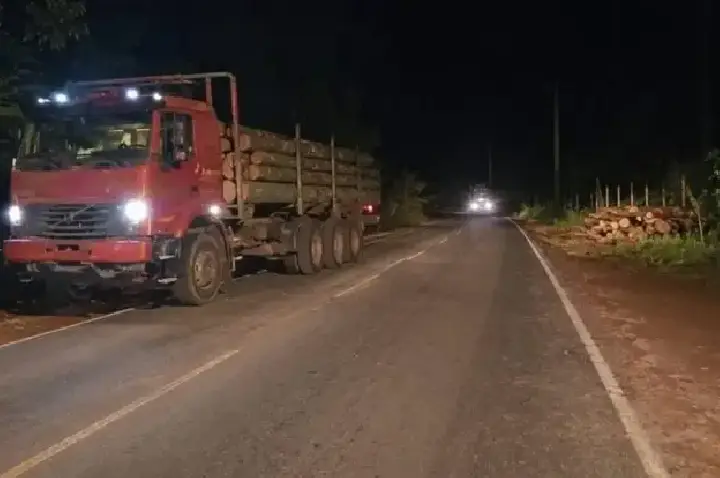 Toras de madeira caem na pista e deixam trânsito lento na Rodovia do Café em RO