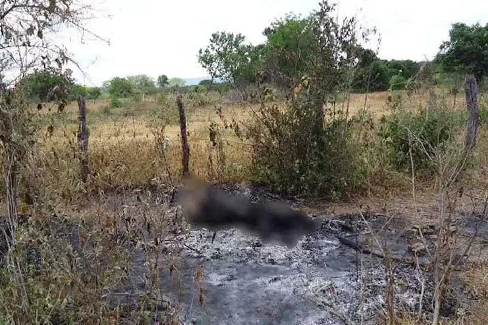 Cadáver carbonizado é encontrado em área de mata as margens da BR-319