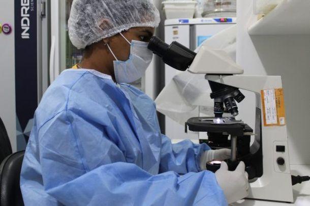 Combate à leishmaniose é reforçado em Rondônia durante semana nacional