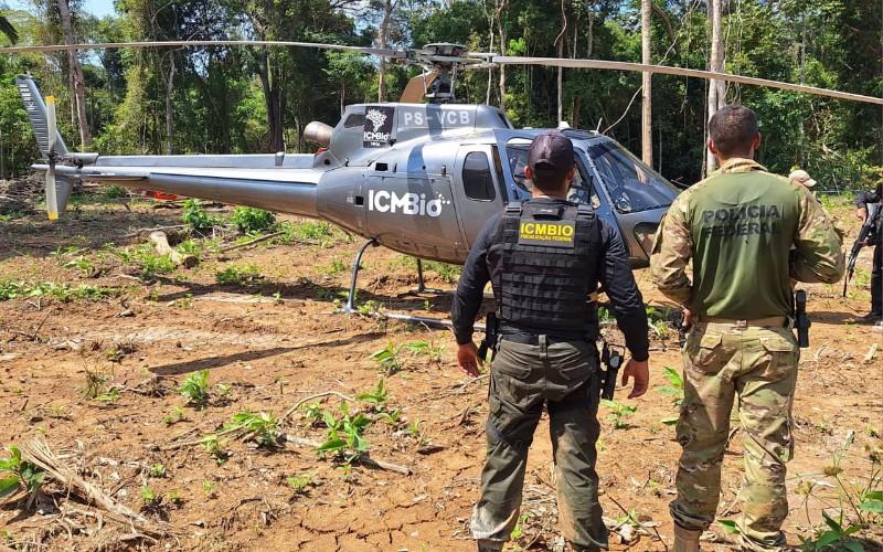 Operação Dominância IV destrói equipamentos usados em desmatamento ilegal no Parque Mapinguari