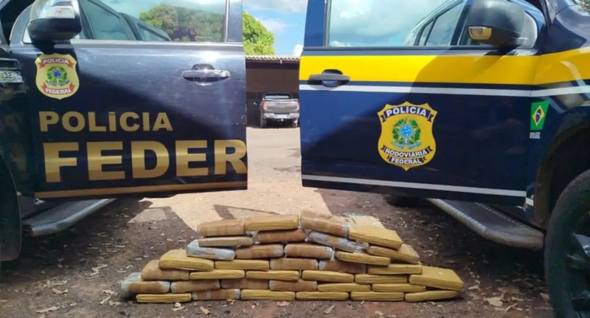 Polícia apreende carga de skunk escondida em caminhão na BR-364