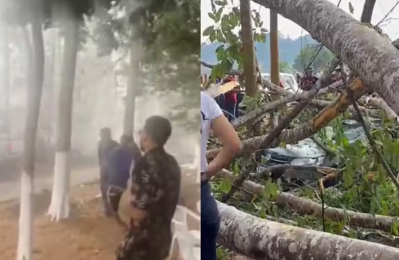 Forte ventania derruba árvores e deixa pessoas feridas em Ministro Andreazza, RO