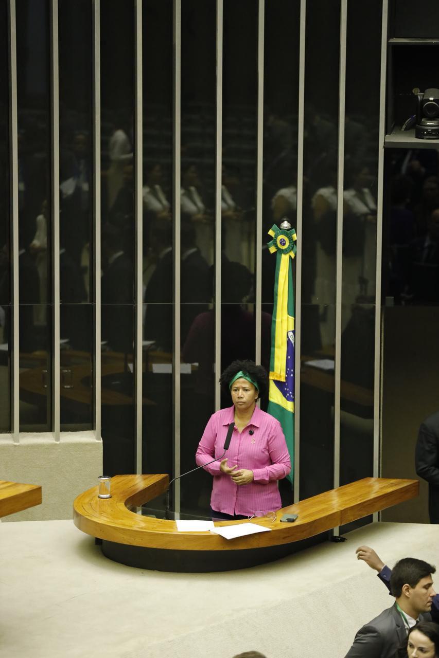 Sílvia Cristina critica queima de casas e retirada de produtores com terras tituladas em Alvorada do Oeste