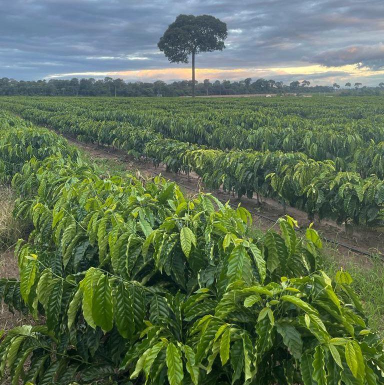 Ieda Chaves reivindica concursos e orçamento para solucionar carência de pessoal na saúde