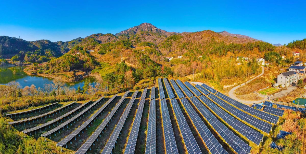 Relembre os destaques da ciência em 2025, segundo a revista Science