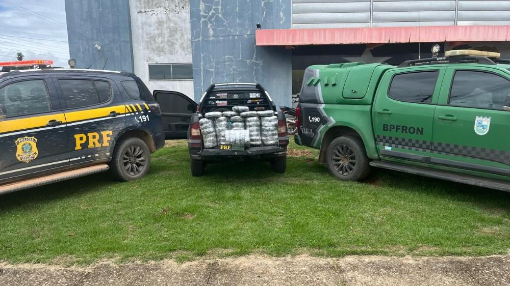 Operação conjunta prende quatro e apreende mais de 42 kg de maconha