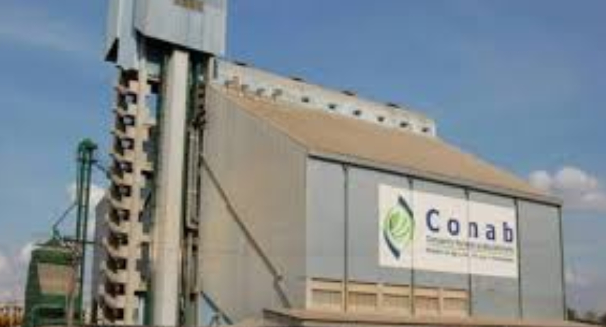 Conab entrega 98 equipamentos agrícolas para fortalecer agricultura indígena em Mato Grosso