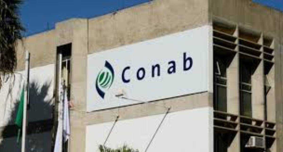 Conab levanta custo de produção do mel e do café em MG