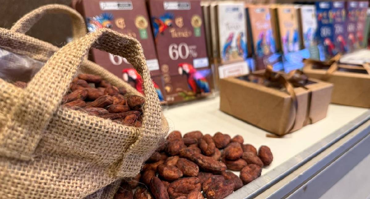 Festival de chocolate valoriza sabores de Rondônia