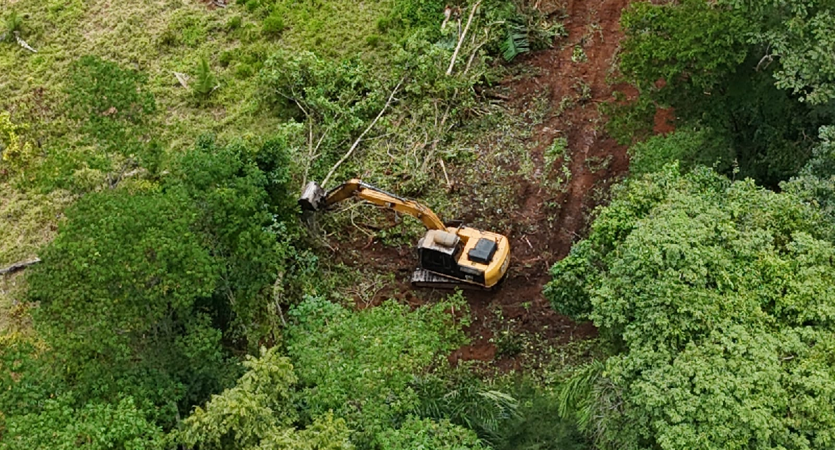 Operação Hiléia flagra desmatamento e apreende escavadeira em RO
