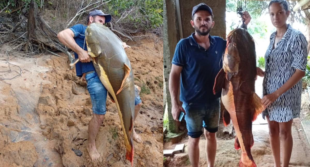 Pescador fisga pirarara de 1,40 metro no Rio Jaru e registra possível recorde