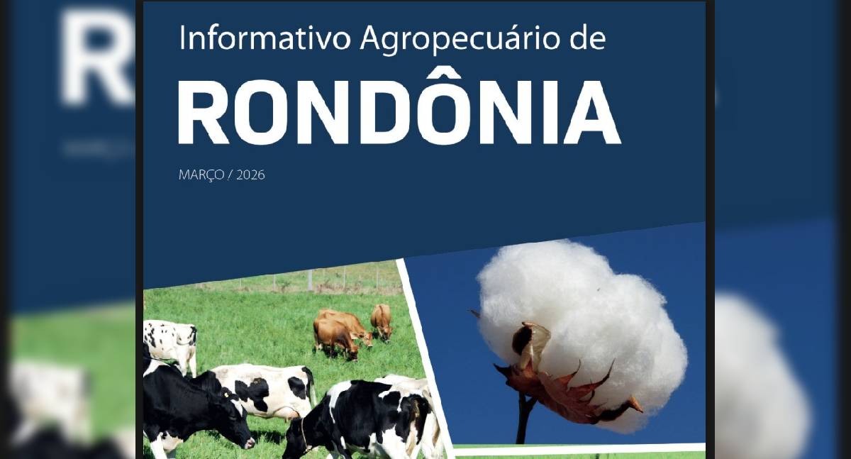 Produção de café em RO deve atingir 2,7 milhões