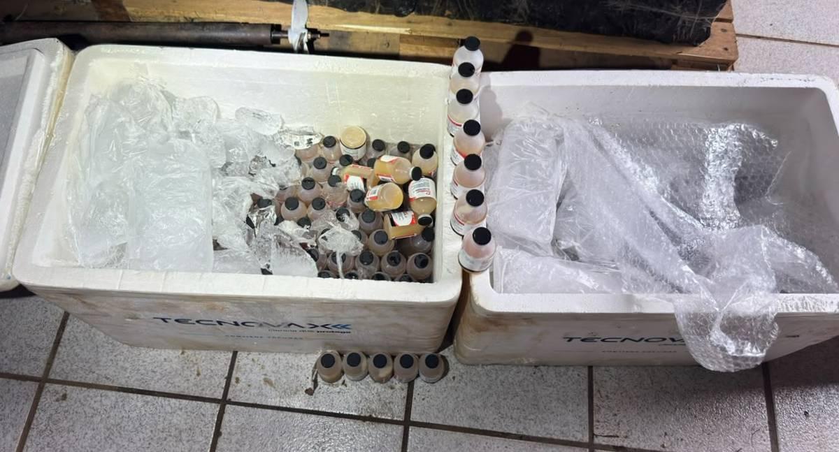 Polícia Militar apreende frascos de vacina veterinária contrabandeados em Rondônia