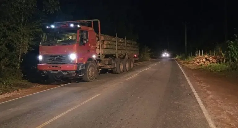 Toras de madeira caem na pista e deixam trânsito lento na Rodovia do Café em RO