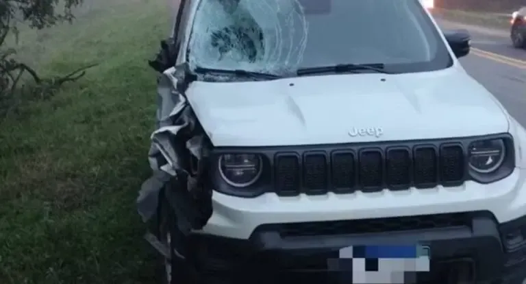Irmãos de 7 e 14 anos morrem atropelados por utilitário na BR-470