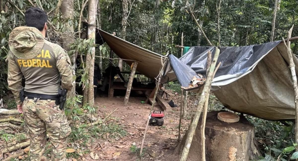 Polícia Federal e órgãos parceiros combatem extração ilegal de madeira em Terra Indígena em RO
