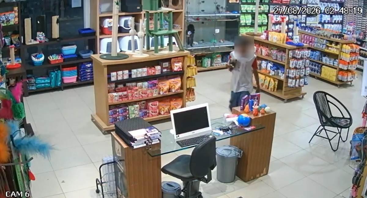 Suspeito arromba porta de vidro e furta cachorros da raça Spitz Alemão em pet shop na Avenida Calama