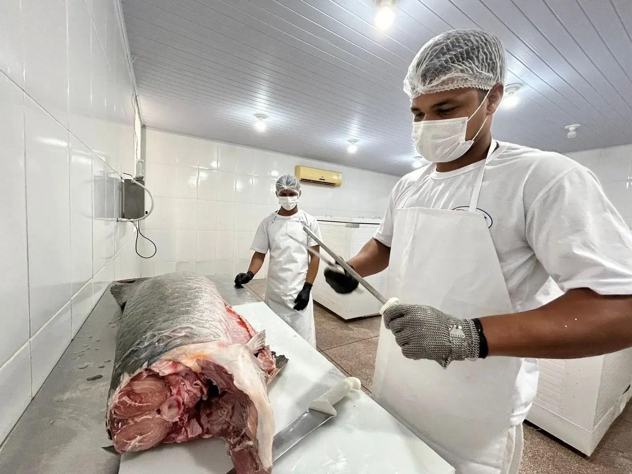 Do SIM para o Brasil: regularização abre mercado e fortalece agroindústrias de PVH
