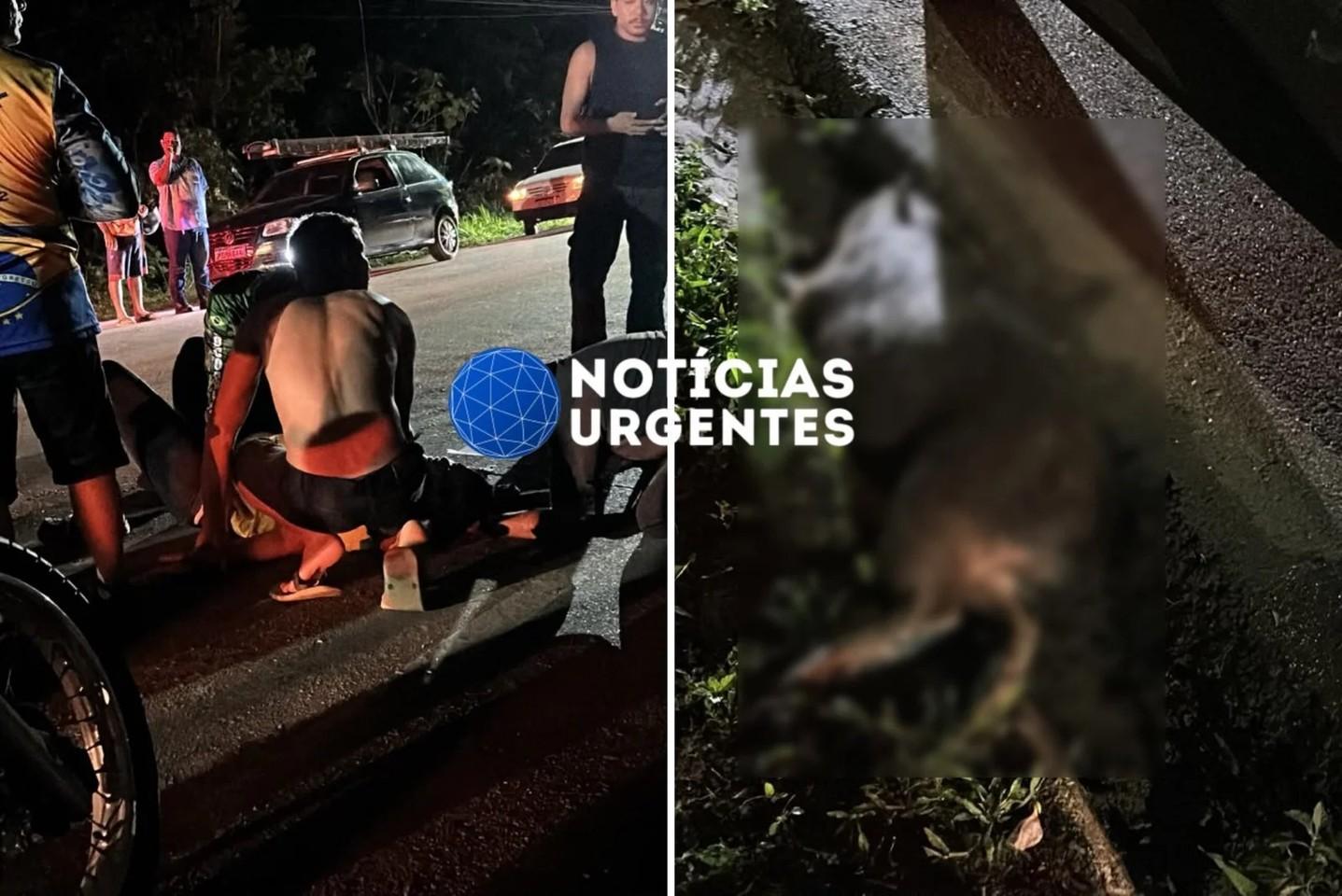 Mulher fica gravemente ferida após atropelar capivara